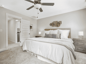 carpet cleaning - services