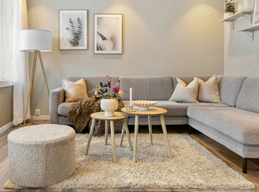 carpet cleaning - fabric