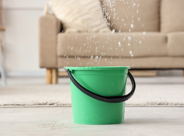 carpet cleaning - water damage